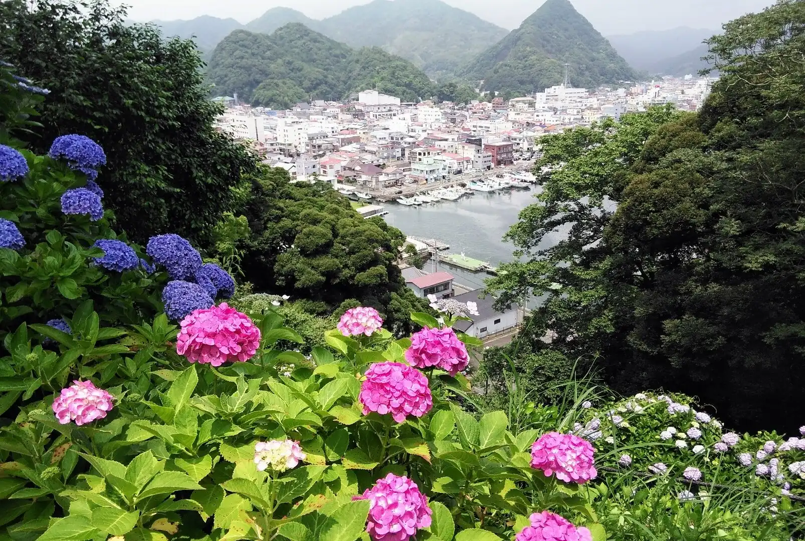 Hotels near Hydrangea Festival