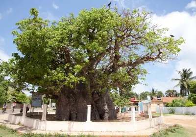 Mannar