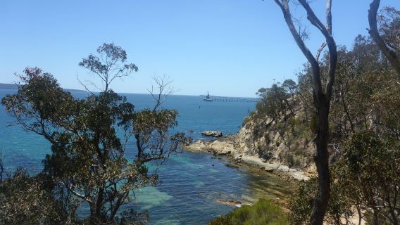Davidson Whaling Station