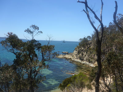 Davidson Whaling Station
