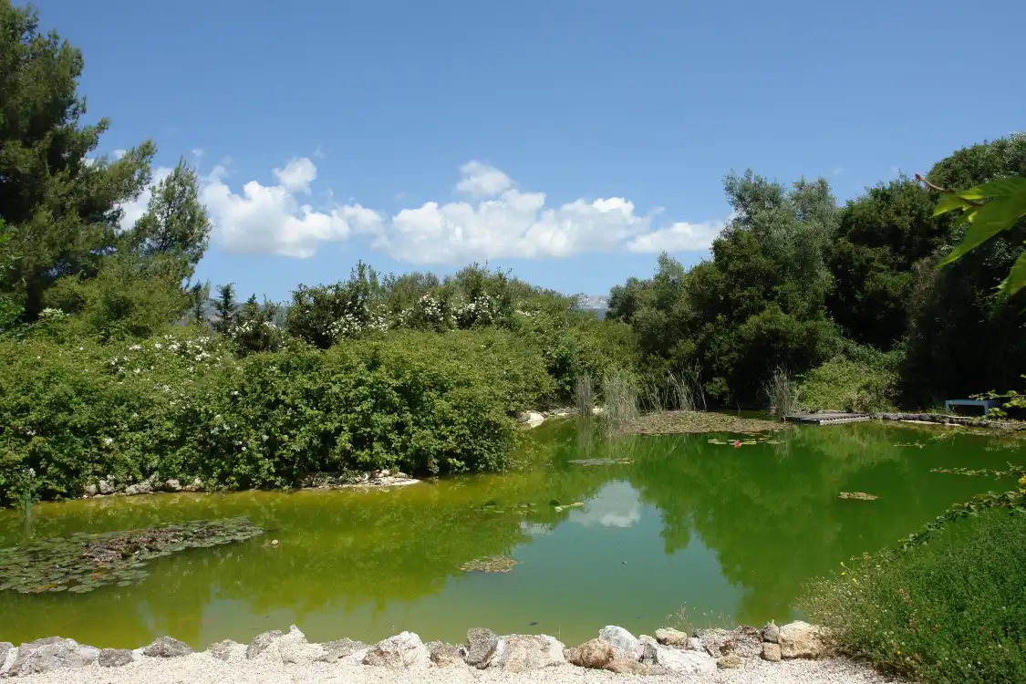 Hotels near Cephalonia Botanica