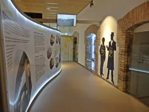 Museu i Centre de la Cultura de l'Oli de Catalunya
