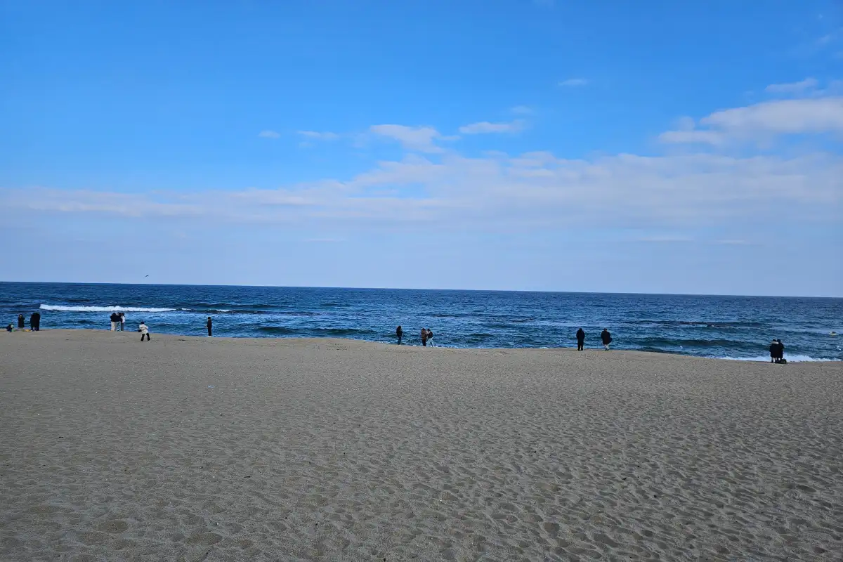 안목해변