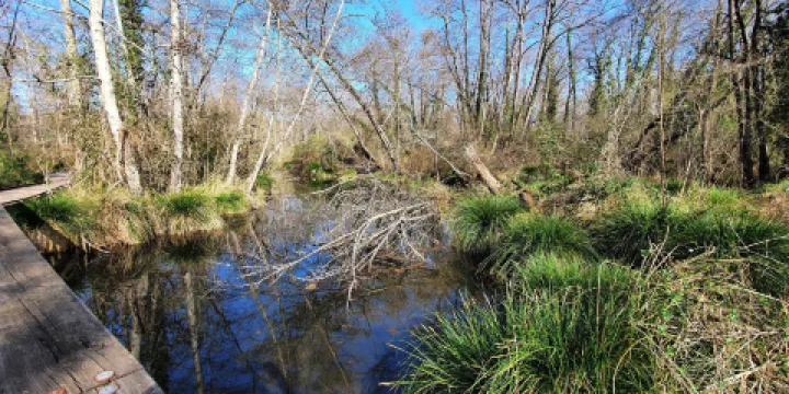 Reserve Naturelle du Marais de Grolejac