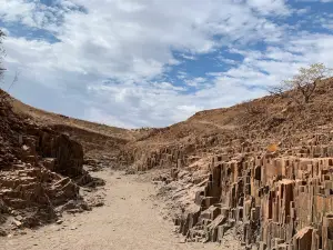 Organ Pipes