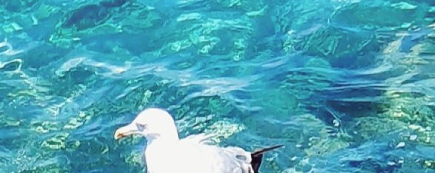 Murrano Mare