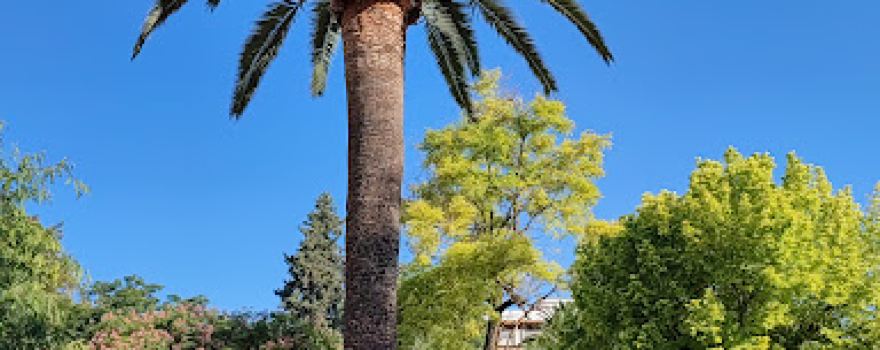 Paseo de las Mercedes