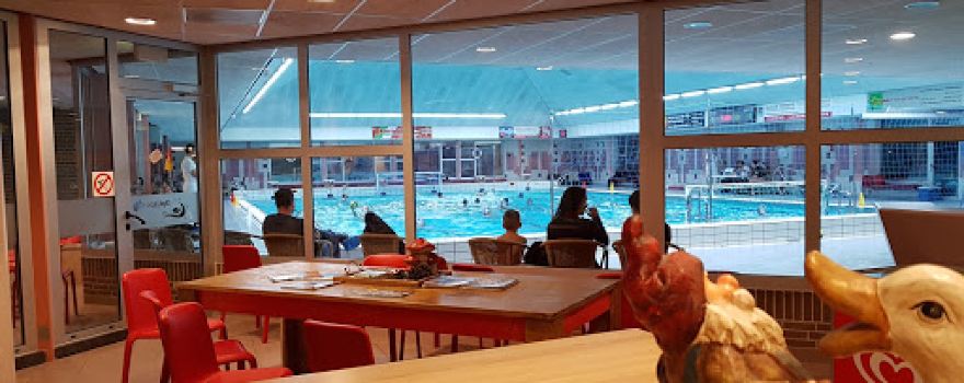 Optisport Pool De Hofstee