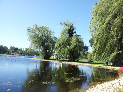 Willow Mill Campsite