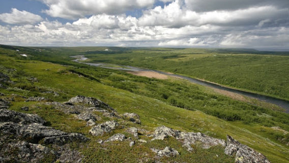 Мурманский тундровый государственный природный заказник