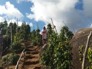 Bukit Gebang Desa Nangka