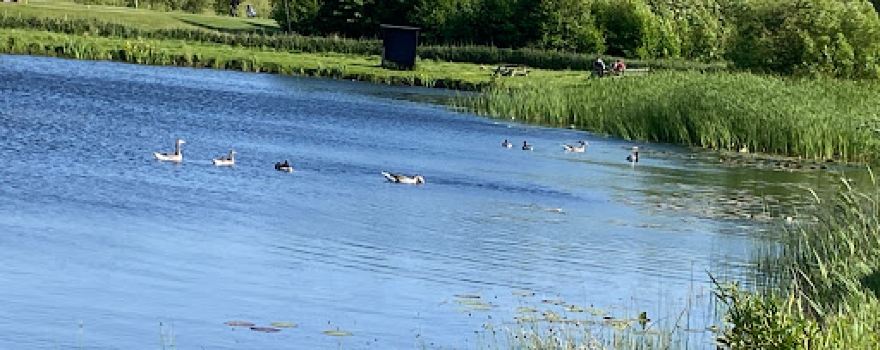 Langelands Lystfiskersø