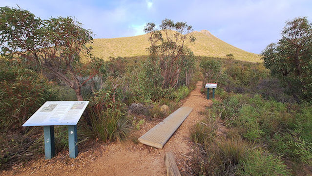 Mount Hassell Walk Trailhead