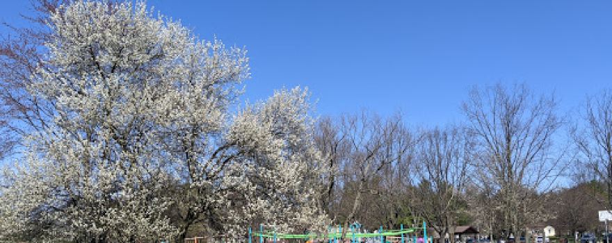 Mondauk Common Park