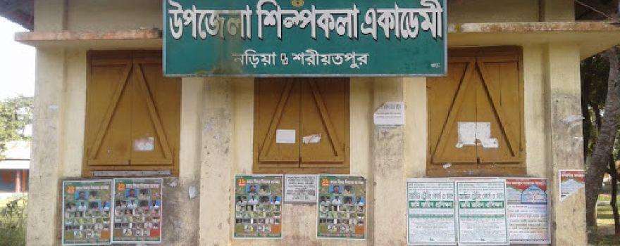 Upazila Shilpakola Academy