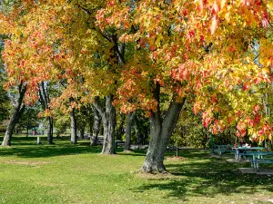 Parc Antoine-Gauthier