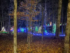 Dark Woods Adventure Park