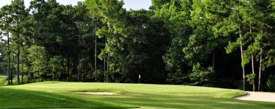Brazell's Creek Golf course at Jack Hill (Gordonia) State Park
