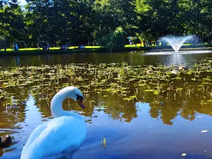 Городской парк Зеленоградска