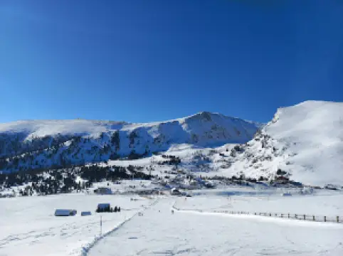 Heidi Alm mountain resort Falkert