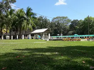 Borinquito