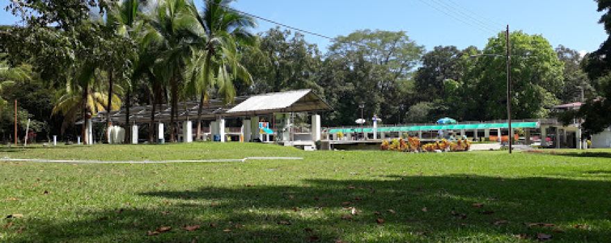 Borinquito