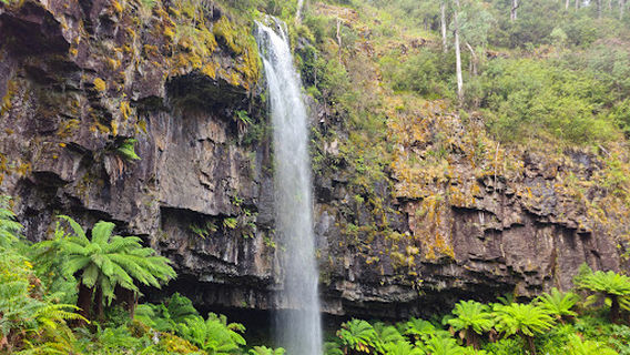 Bindaree Falls