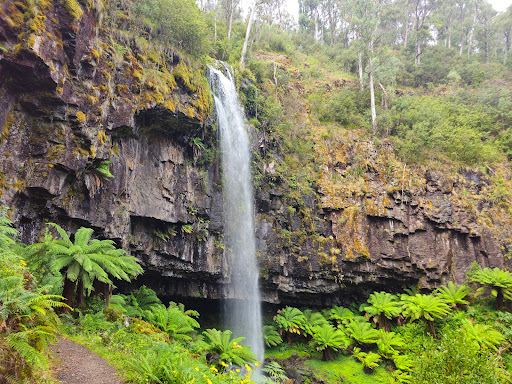 Bindaree Falls