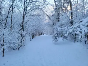 Dakota Woods Dog Park