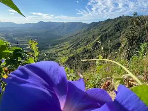 Goodes Lookout