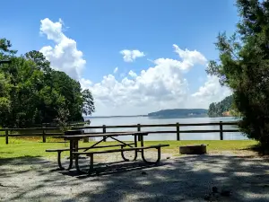 Walter F George Reservoir