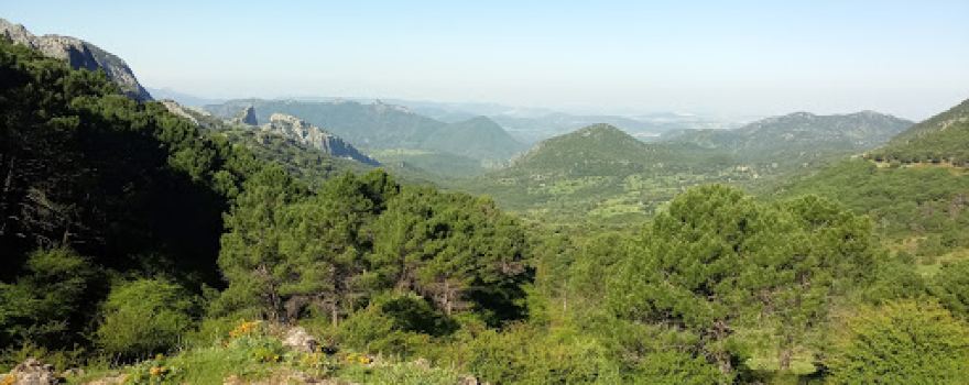 Fuente De Los Tres Chorros
