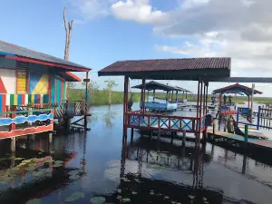 RAWA BIRU
