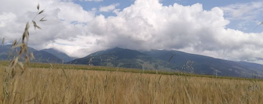 Poľná cesta na rázcestie Svätý Štefan -Veterná poruba - Žiar