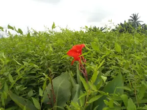 래피아 시티 플라자