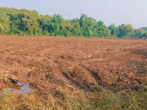 Dr. Babasaheb Ambedkar Garden