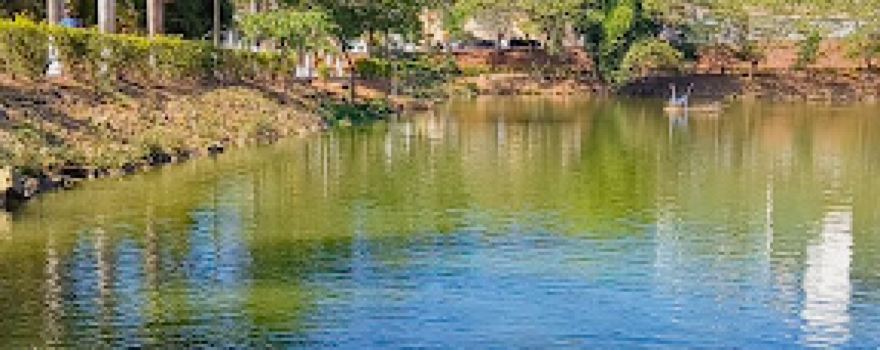 Parque do Bariri
