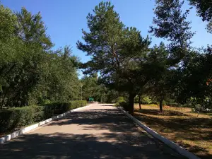 Old park