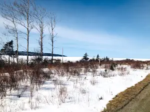 Celtic Shores Coastal Trail, Troy, NS