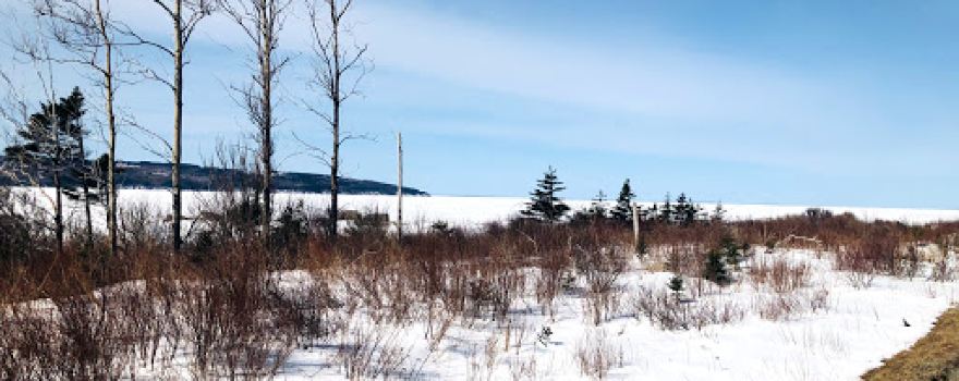 Celtic Shores Coastal Trail, Troy, NS