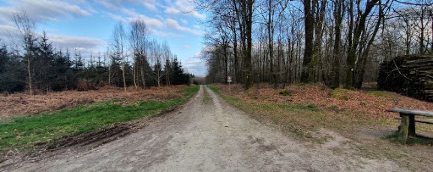 Forêt de Loudéac - Croisée du Parc aux Chevaux