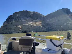 Dave's fishing guide services Elephant butte lake