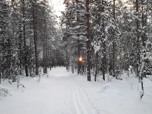 Park Geologov