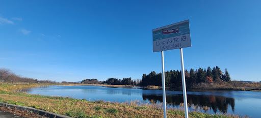 Junsai Marsh