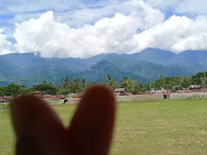 Stadion H. Syahadat