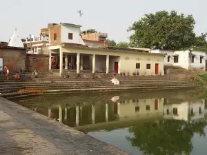 Palhna Devi Mandir