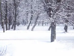 Орловский парк