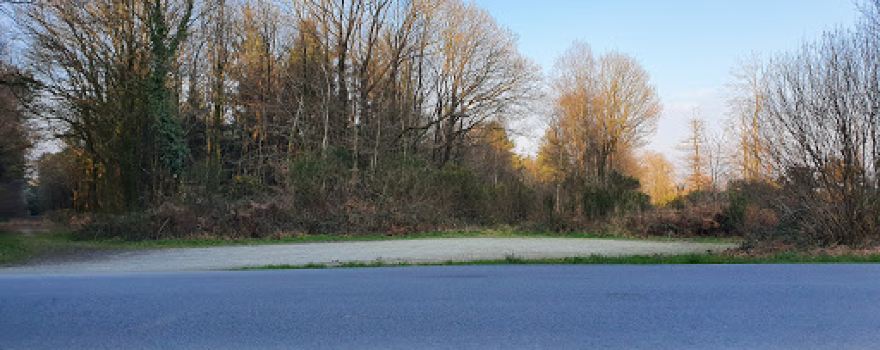 Forêt de Loudéac - Croisée du Poteau