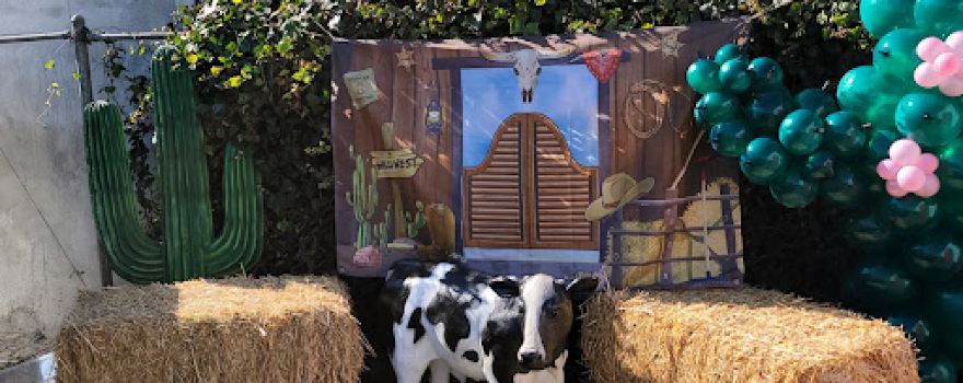 Adam's Feed & Garden Supply, Inc.