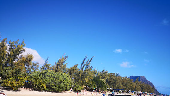 Adrien's Dream - Excursion en bateau + Dauphins + Mariage à l'ile Maurice